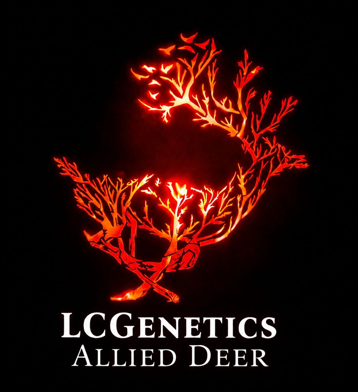 Logo LC Genetics